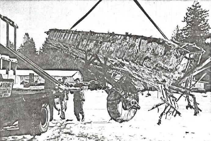 MINI NEWSLETTER #40.4 JULY 20, 1993